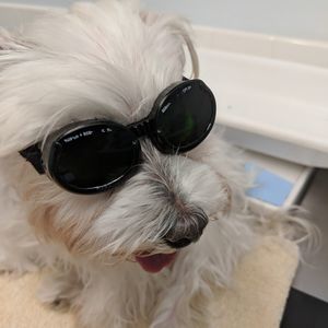 Meet your Posher, Beverly